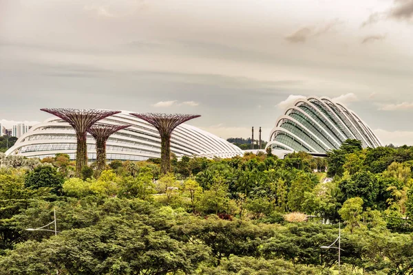 Supertree 格罗夫 独特的垂直花园 类似高耸的树木 夜间檐篷和五颜六色的灯光 新加坡湾花园背景的花穹顶 云林建筑 — 图库照片