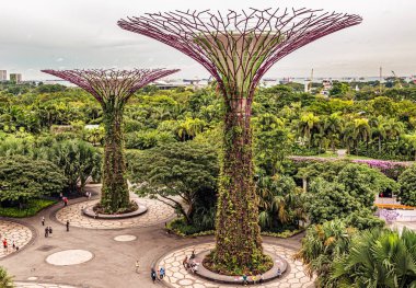 Singapur - 14 Ocak 2018: turist platformda Supertree Grove, dikey bahçeleri çok yüksek ağaçlar, saçak ve Bay Singapur bahçelerle renkli ışıkları gece benzeyen yürüme..