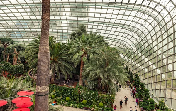 新加坡 2018年1月11日 参观新加坡湾花园的花卉圆顶温室的游客 它是巨大的植物园在玻璃屋顶之下与花和树从世界各地 — 图库照片