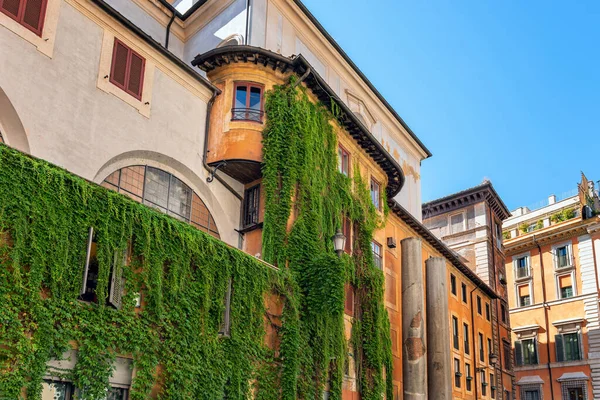 Pohled Rostliny Zavěšené Rostoucí Stěně Budovy Římě Itálie — Stock fotografie