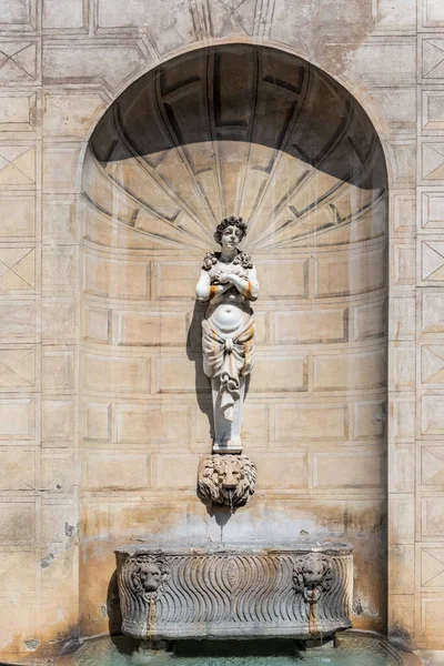 Blick Auf Den Trinkbrunnen Des Palazzo Spada Auf Dem Platz — Stockfoto