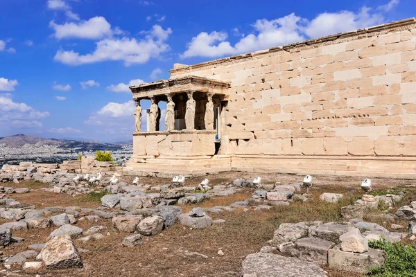 Statue Cariatidi Tempio Eretteo Sulla Collina Dell Acropoli Atene Grecia — Foto Stock
