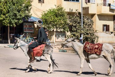 Luxor, Mısır - 15 Ocak 2020: Lüksör, Mısır 'da eşeğe binen adam.