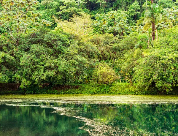 在哥斯达黎加的阿基纳火山的脚步下 观看被热带雨林环绕的小湖 — 图库照片