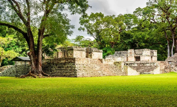 ユネスコ世界遺産 コパン ルイナスの有名なマヤ遺跡 ホンジュラス 古い石造りの建物 — ストック写真