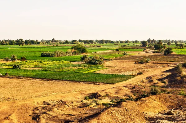 View at farming fields in rural area near Dongola in Sudan.