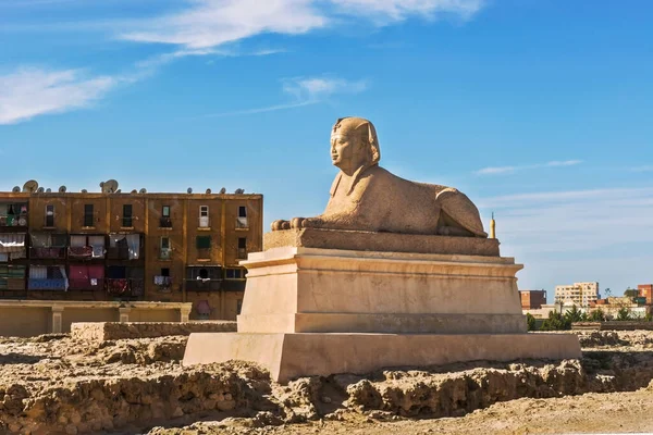 Statue Aus Sphinxgranit Der Pompeiussäule Römische Triumphsäule Alexandria Ägypten — Stockfoto