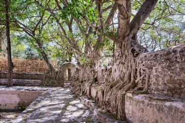 Gondar, Etiyopya 'daki tarihi fasilides hamamlarına bakın..