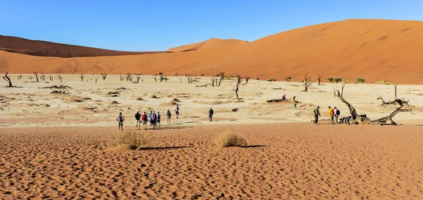 Sossusvlei Namibia April 2015 Tourists Visiting Dead Vlei Dead Marsh — Stock Photo, Image