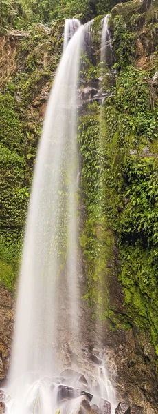 失落的瀑布位于巴拿马波克提附近的沃尔坎巴鲁斜坡上 这次远足有三处瀑布 风景和瀑布让人叹为观止 它是秋天的第一 — 图库照片