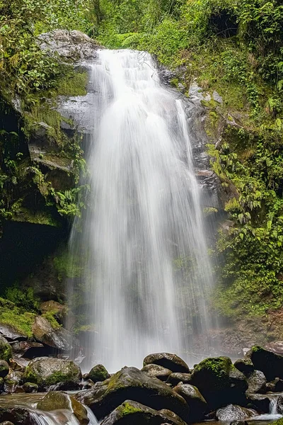 失落的瀑布位于巴拿马波克提附近的沃尔坎巴鲁斜坡上 这次远足有三处瀑布 风景和瀑布令人惊叹 现在是第三号秋天 — 图库照片