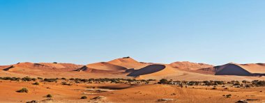 Namib-Naukluft Ulusal Parkı, Namibya 'daki Sossusvlei yakınlarındaki Namibya Çölü' ndeki kum tepelerinde panoramik manzara.