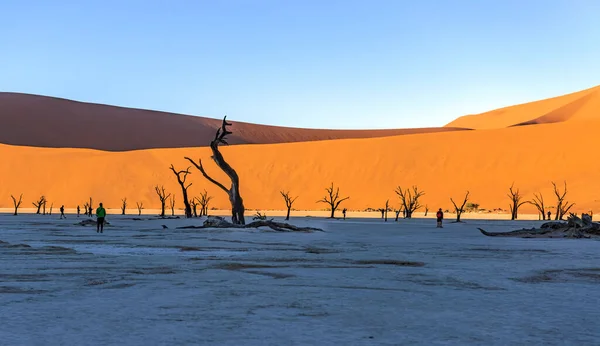 纳米比亚Naukluft国家公园Sossusvlei附近的纳米比亚沙漠沙丘全景 — 图库照片