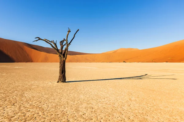 Namib-Naukluft Ulusal Parkı, Namibya 'daki Sossusvlei yakınlarındaki Namibya Çölü' ndeki kum tepelerinde panoramik manzara.