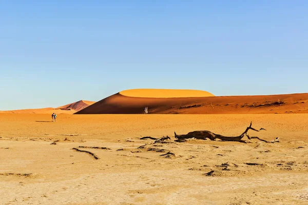 Sossusvlei Namibia Abril 2015 Turistas Visitan Dead Vlei Pantano Muerto — Foto de Stock