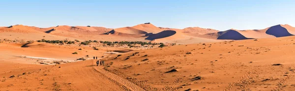 Panoramic View Sand Dunes Namibian Desert Sossusvlei Namib Naukluft National — Stock Photo, Image