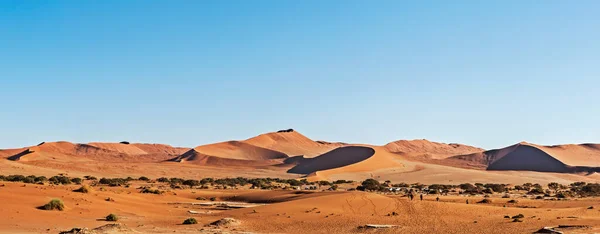 Πανοραμική Θέα Αμμόλοφους Στην Έρημο Της Ναμίμπια Κοντά Στο Sossusvlei — Φωτογραφία Αρχείου