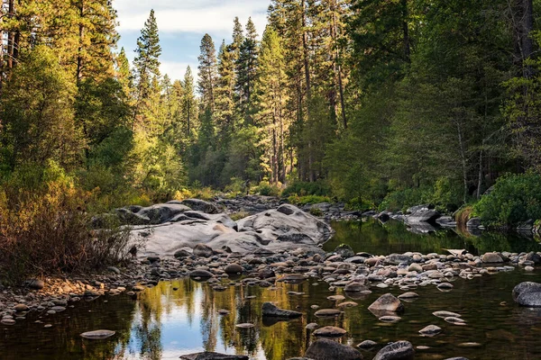 ヨセミテ国立公園 カリフォルニア州 の川と森での眺め — ストック写真