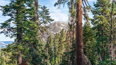 Kaliforniya 'daki Sentinel Dome' a bakın.