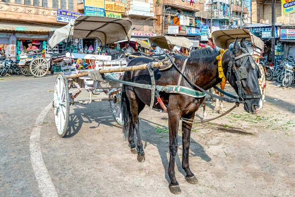 Jodhpur India Ottobre 2018 Carrozza Mercato Sardar Jodhpur Rajasthan India — Foto Stock