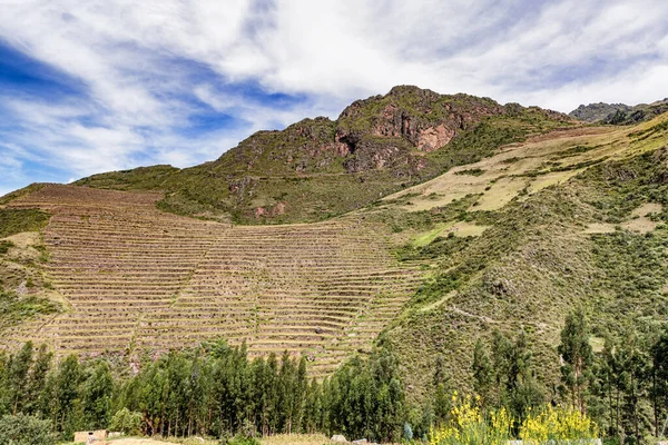 Vista Agricultura Plantas Incas Cultivando Terrazas Parque Arqueológico Valles Sagrados — Foto de Stock