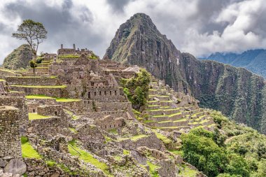 Peru 'daki Machu Picchu şehrindeki binalar ve evler. Wayna, Huayna Picchu dağ zirvesi arka planda.