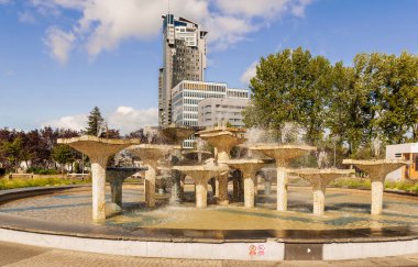 Gdynia, Polonya 16 Eylül 2019 Polonya 'nın Gdynia kentindeki Kosciuszko Meydanı' nda çiçek bahçesi ve çeşmesi bulunan halk parkına bakın.