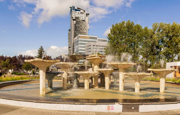 Gdynia Poland Sept 2019 View Public Park Flower Garden Fountain — Stock Photo, Image