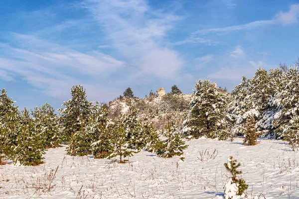 美丽的冬季风景在雪地的森林里 一月去波兰南部旅行 — 图库照片