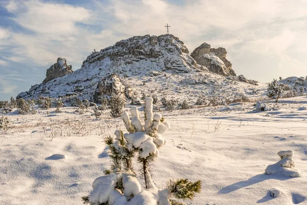 波兰捷克托霍瓦附近雪地森林和高山上美丽的冬季风景 — 图库照片