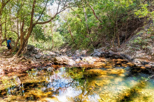 Caminata Las Cascadas Los Nietos Ubicadas Las Afueras Del Parque — Foto de Stock