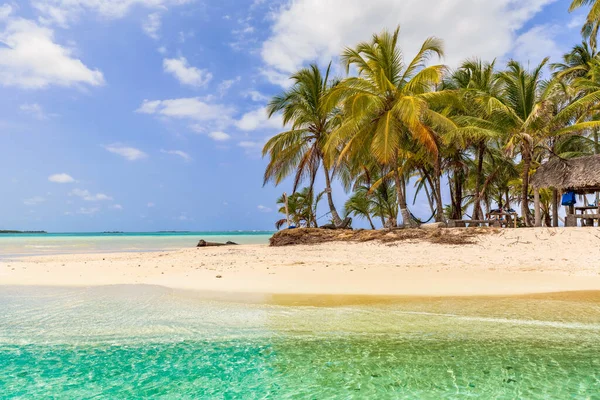 Hermosa Playa Solitaria Isla Caribeña San Blas Territorio Políticamente Autónomo —  Fotos de Stock