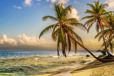 Beautiful lonely beach in Caribbean San Blas island at politically autonomous Guna territory in Panama. Turquoise tropical Sea, landmark travel destination in Central America clipart