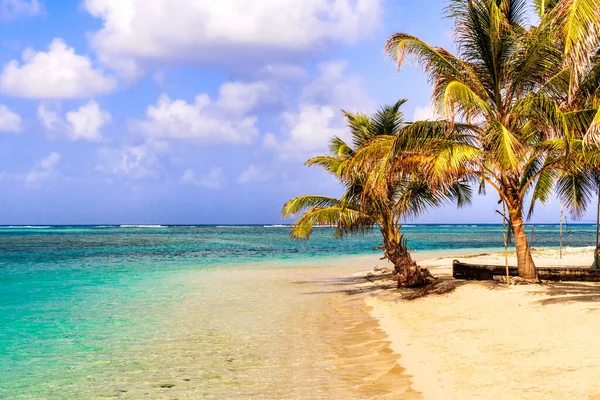 Belle Plage Solitaire Dans Les Caraïbes San Blas Île Territoire — Photo