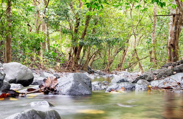 Řeka Národním Parku Cerro Canajagua Poloostrově Azuero Panamě — Stock fotografie