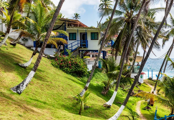 Портобело Остров Гранде Панама Февраля 2020 Года Ландшафт Вокруг Отеля — стоковое фото