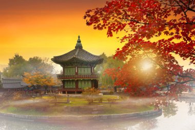 Sonbahar sezonu Gyeongbokgung Sarayı Seoul, Güney Kore