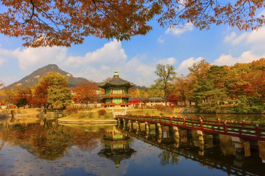 Sonbahar sezonu Gyeongbokgung Sarayı Seoul, Güney Kore