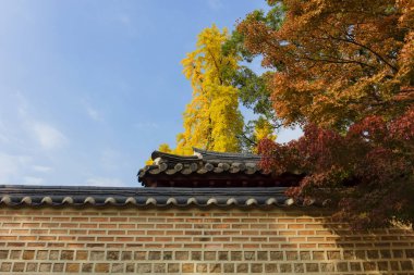 Sonbahar Seul Güney Kore'de Deoksugung Sarayı 