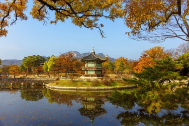 Sonbahar sezonu Gyeongbokgung Sarayı Seoul, Güney Kore