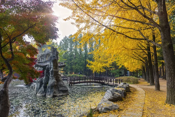 Ilha Nami Outono Coreia Sul Imagem De Stock
