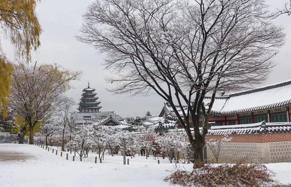 Дворец Кёнбокгун Зимой Сеуле Южная Корея — стоковое фото