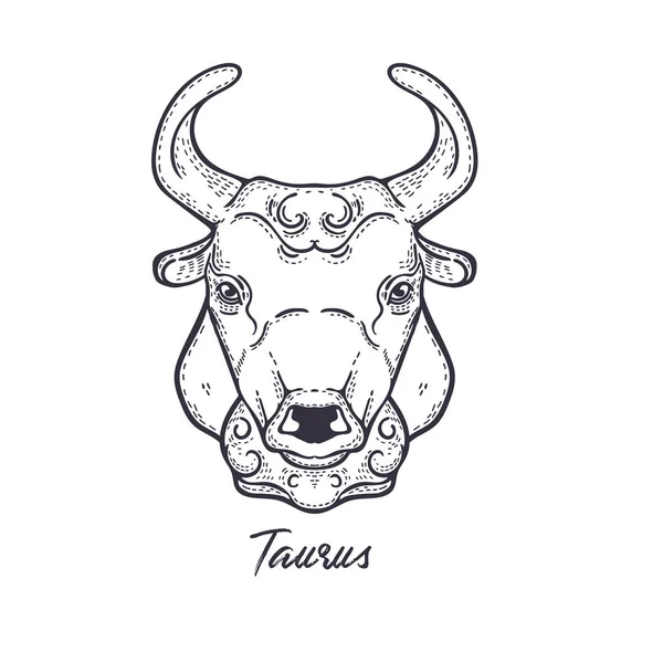 Taurus Zodiac sterrenbeeld. Het symbool van de astrologische Horoscoop. — Stockvector