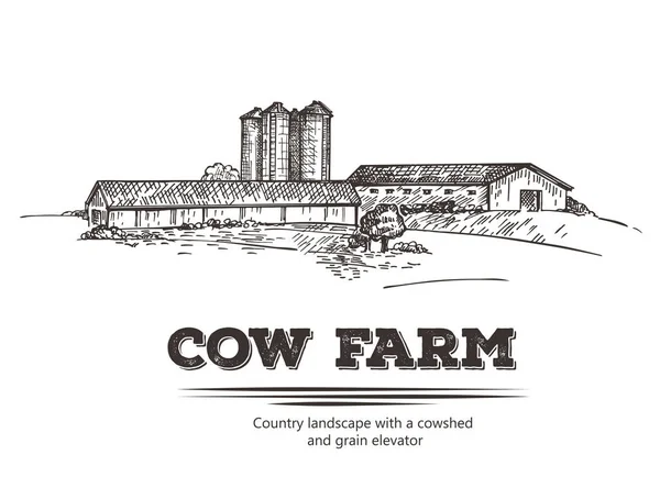 Paisagem rural com elevador de grãos e fazenda de vacas . —  Vetores de Stock