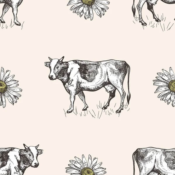 Seamless pattern with cows and daisies. Sketch illustrations.