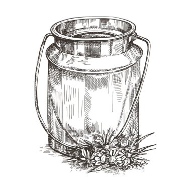 Süt ve kır çiçekleri vektör görüntü. Çizim stili çizimi.