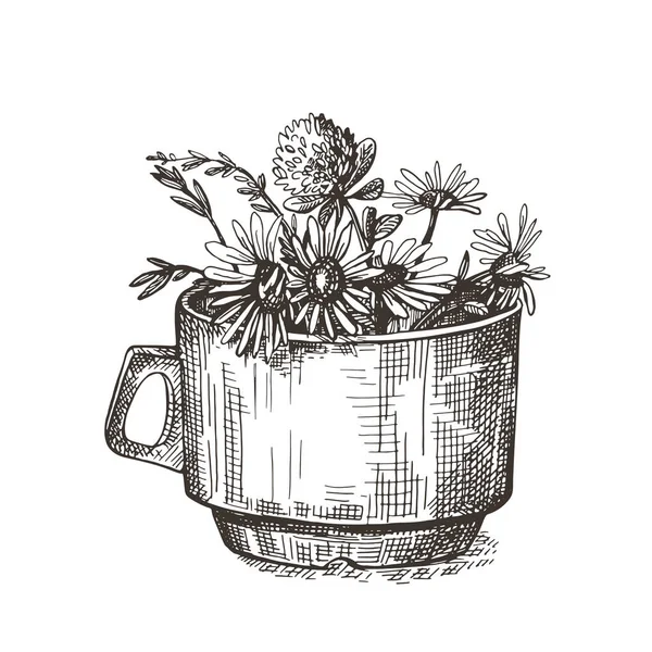 Ramo de flores silvestres en una taza. Imagen vectorial. Dibujos gráficos . — Vector de stock