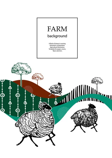Um bando de ovelhas está correndo. Ilustração agrícola. Modelo para páginas, capas, folhetos, banners . — Vetor de Stock