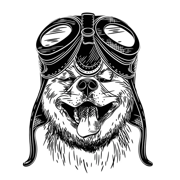 Anjing siba inu di helm pilot. Desain tato. Cetak untuk T-shirt - Stok Vektor