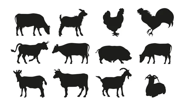 Grand Ensemble Silhouettes Bétail Vache Taureau Poulet Coq Porc Chèvre — Image vectorielle